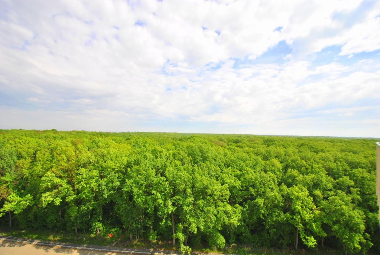Foresthouse 1 Timișoara Zewnętrze zdjęcie