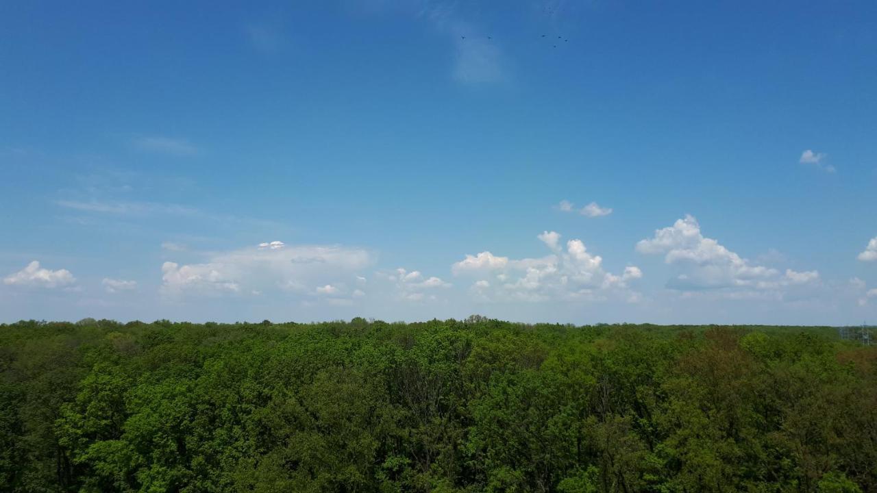 Foresthouse 1 Timișoara Zewnętrze zdjęcie