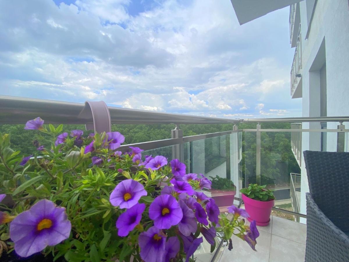 Foresthouse 1 Timișoara Zewnętrze zdjęcie