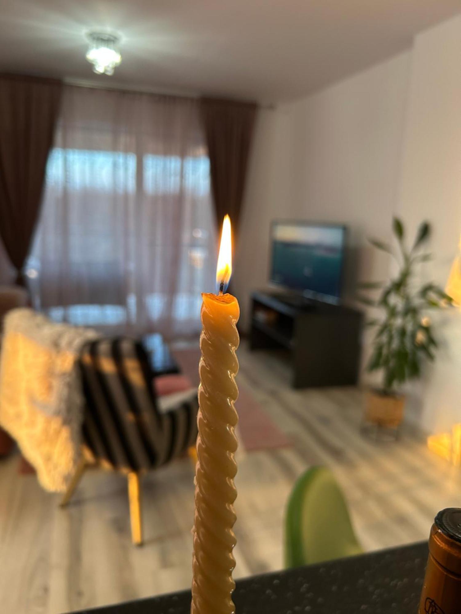 Foresthouse 1 Timișoara Zewnętrze zdjęcie